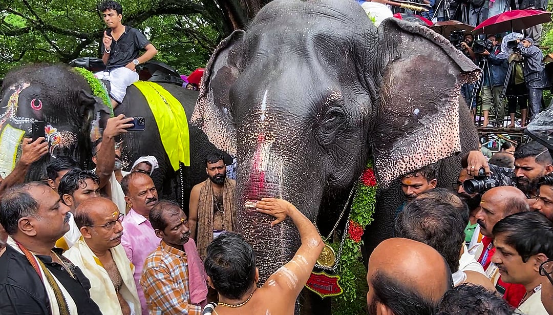 വടക്കുംനാഥൻ ക്ഷേത്രത്തിലെ ആനയൂട്ട് കാഴ്ചകൾ